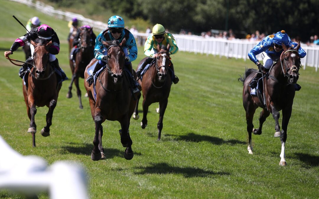 AN KURSFÜHRUNG GESCHEITERT