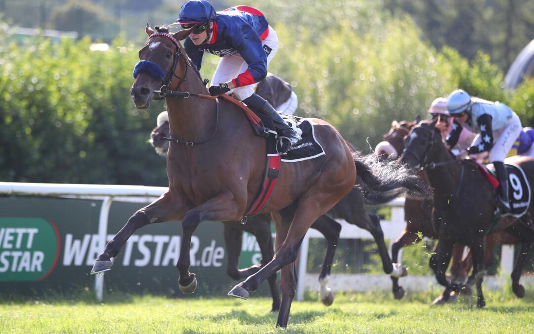 ENDLICH WIEDER SHUT DOWN