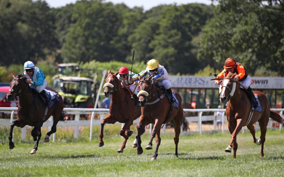 BEIM DEBUT AM ENDE DICHTAUF