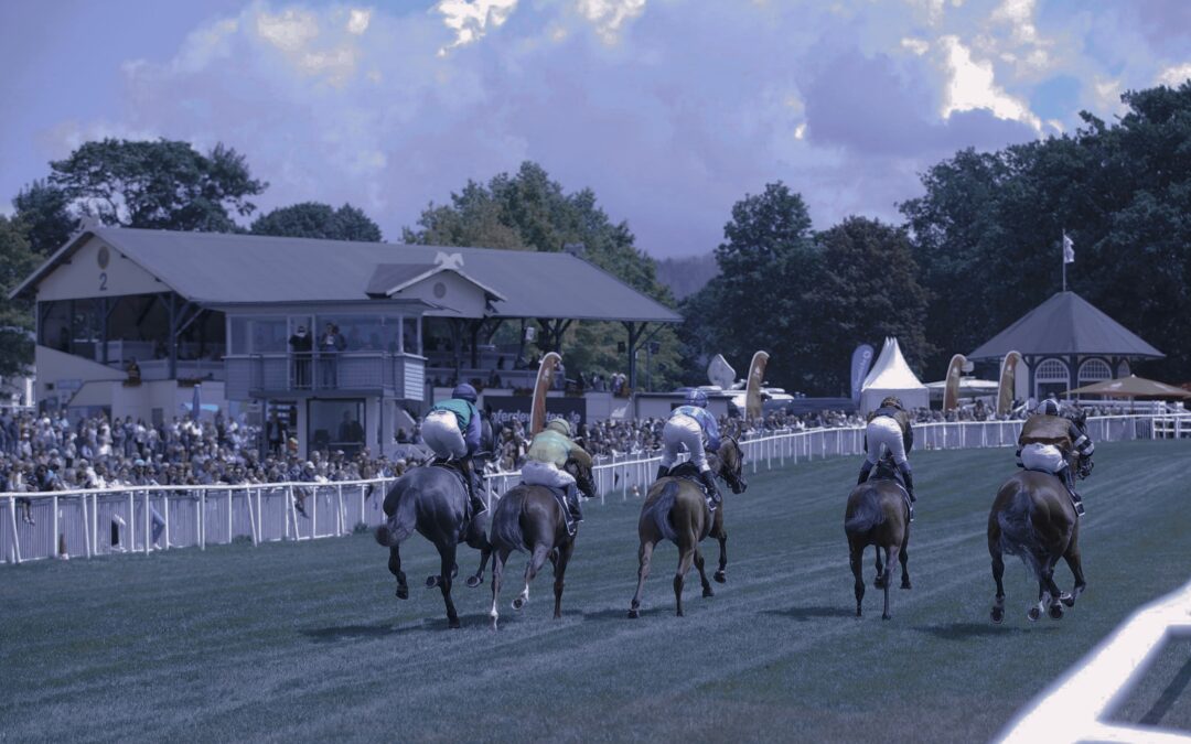 DEBUT “AM WEIßEN STEIN”