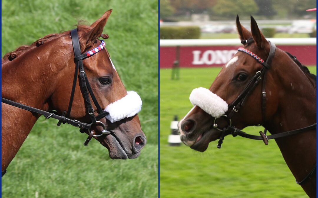 ZWEI 55.000ER IN COMPIEGNE