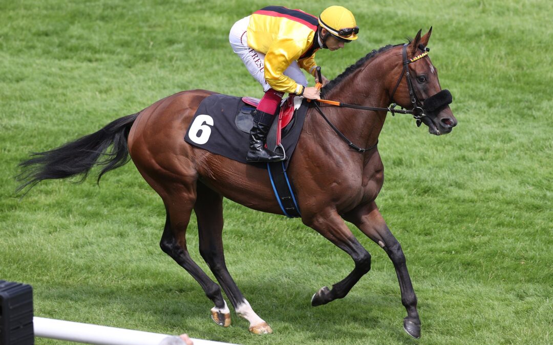 ERSTEN GRUPPE SIEG IM BLICK