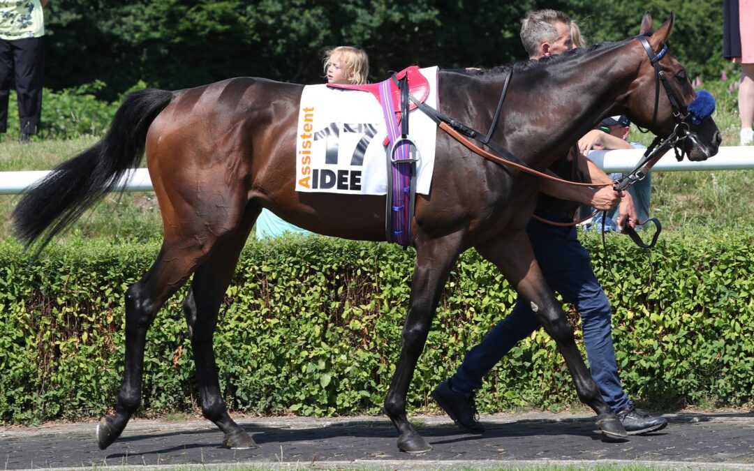 ASS. MIT GOODWOOD NENNUNG