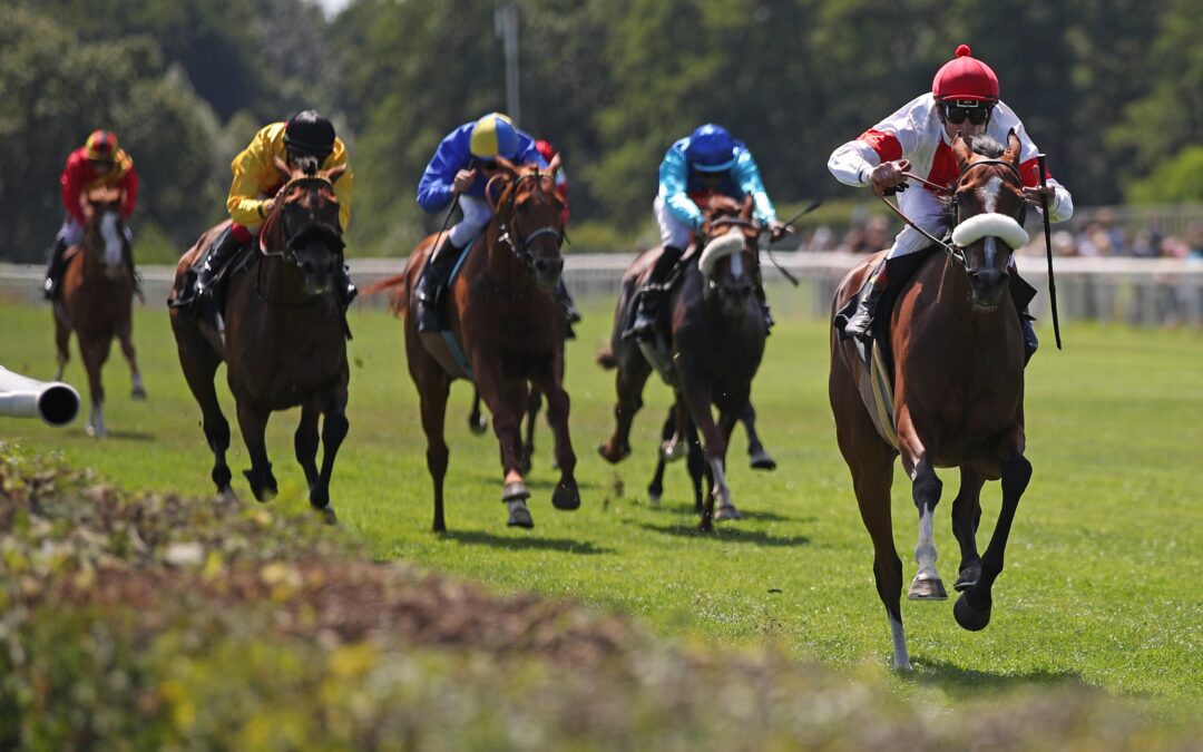 KEIN SIEG ABER GRUPPE BLACKTYPE