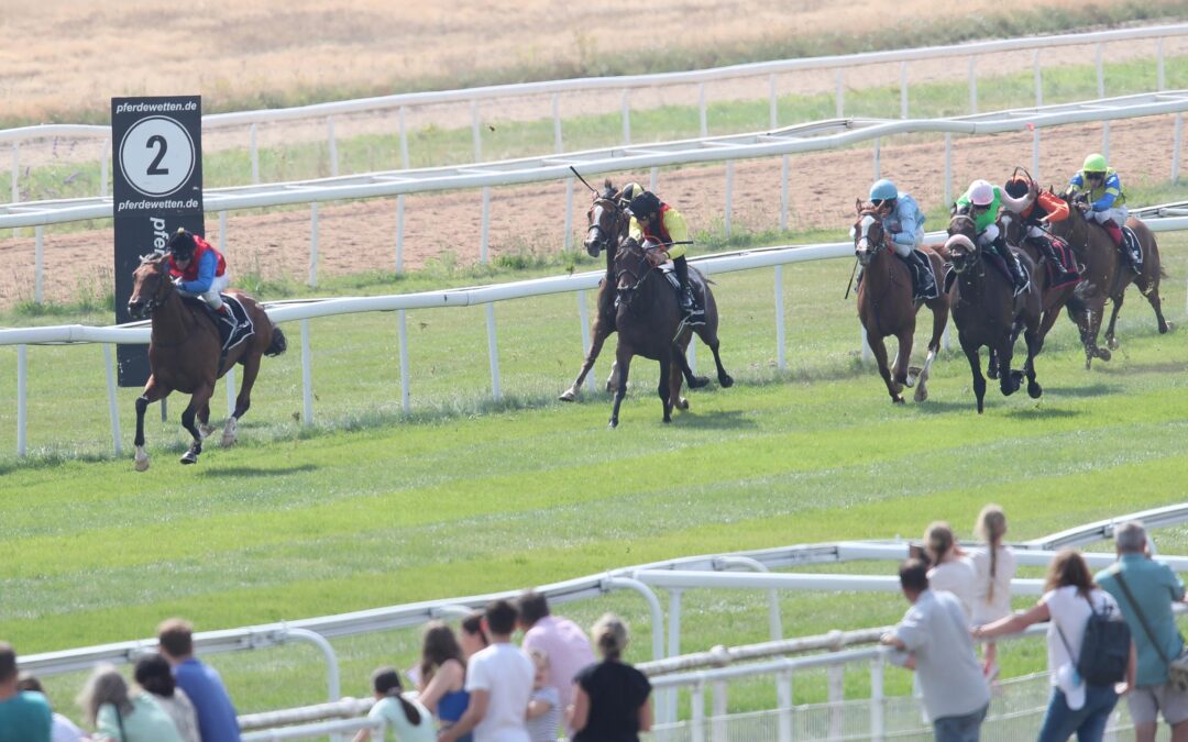 TAHER MIT SOLIDEM DEBUT