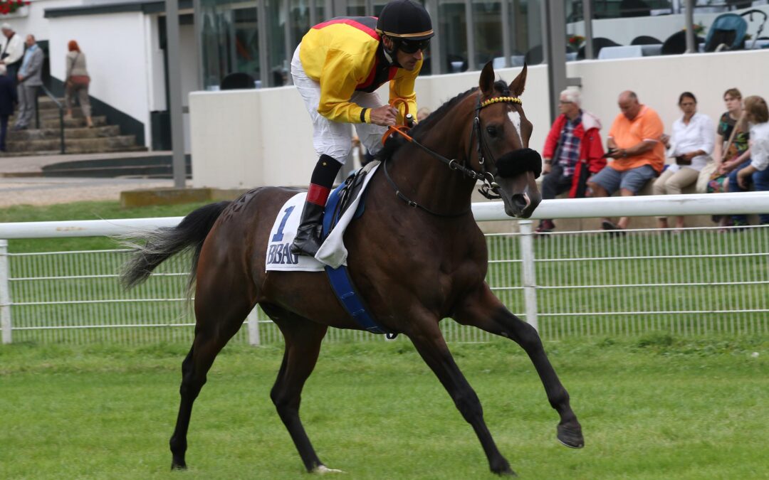 ARANO STARKER DRITTER IM BBAG