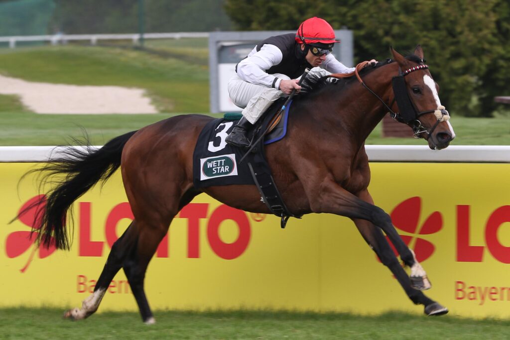 SILUTO MIT GRUPPE III DEBUT