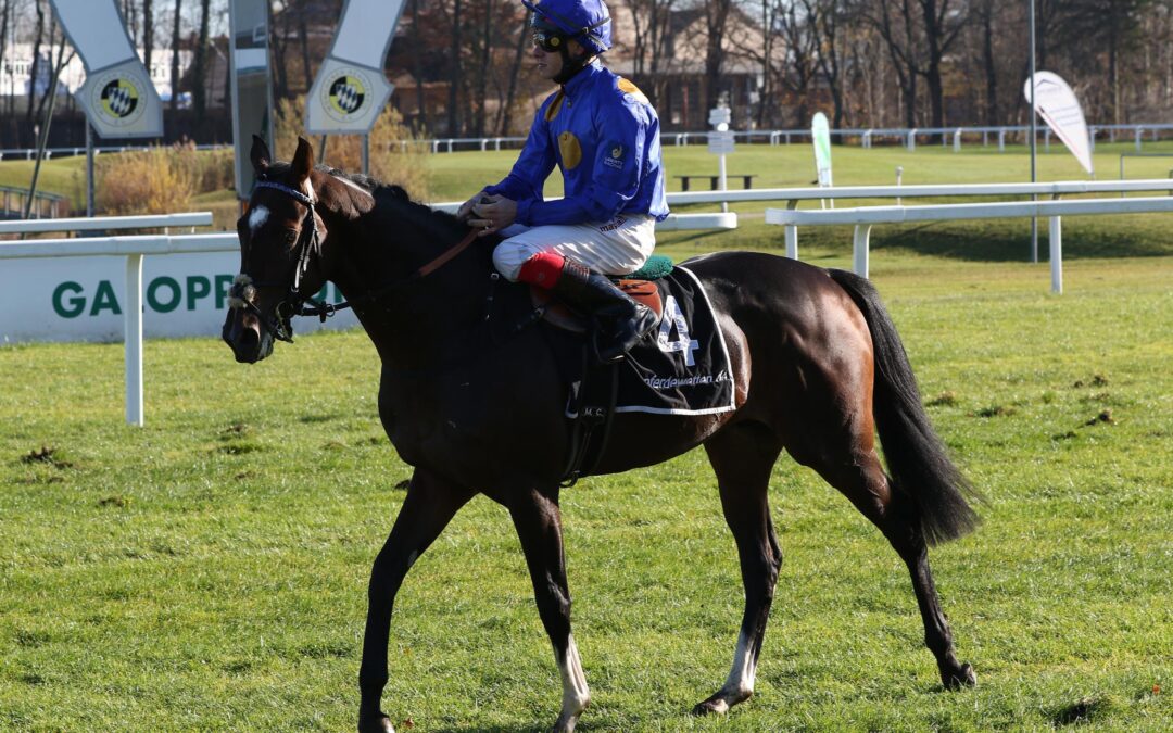 ERSTEN TREFFER IM VISIER