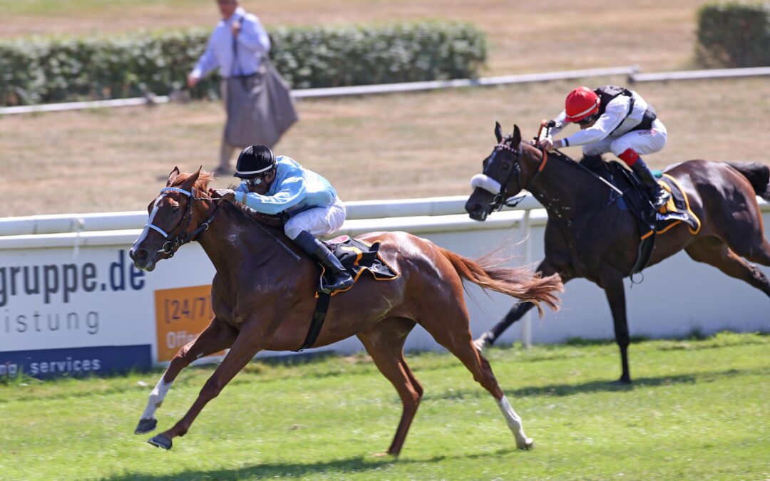 VERSPRECHENDES DEBUT