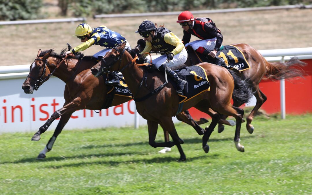 ZWEITES KARRIERE “BLACK-TYPE”