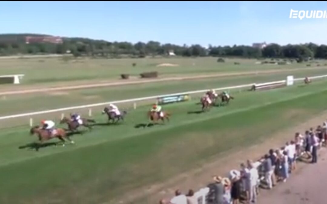 WIEDER BEZWINGER GEFUNDEN