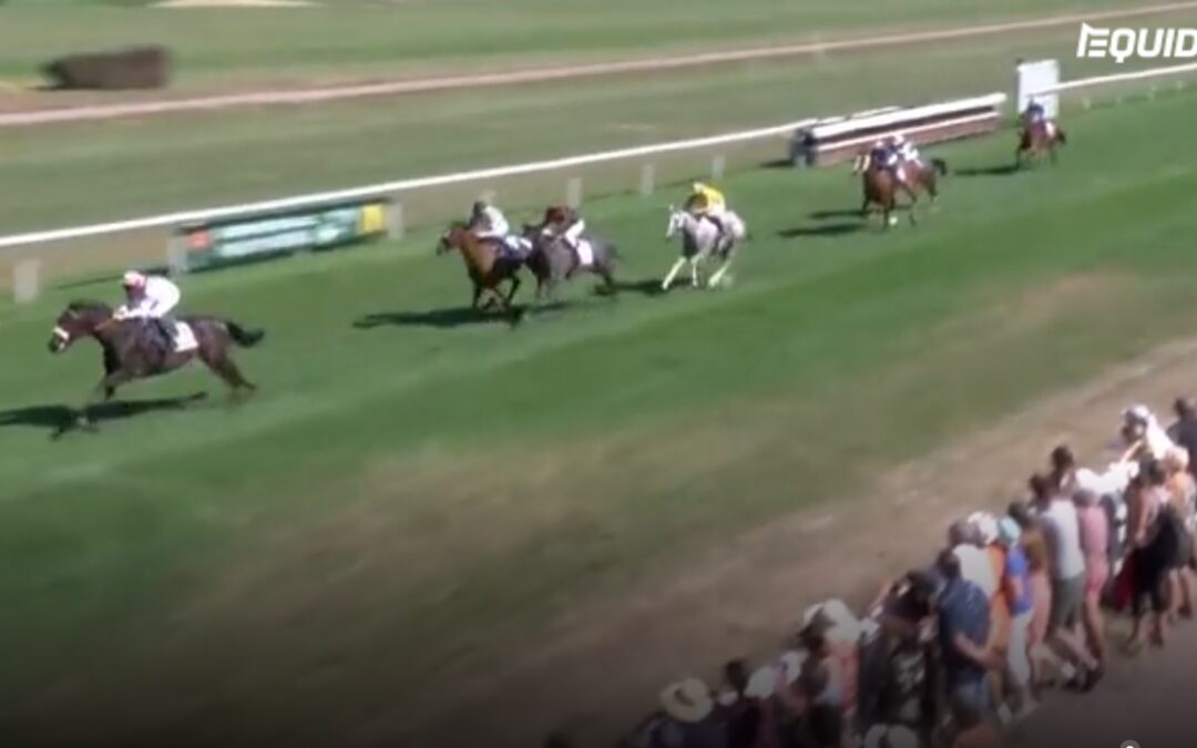 BARDOLINO KANN DOCH GEWINNEN