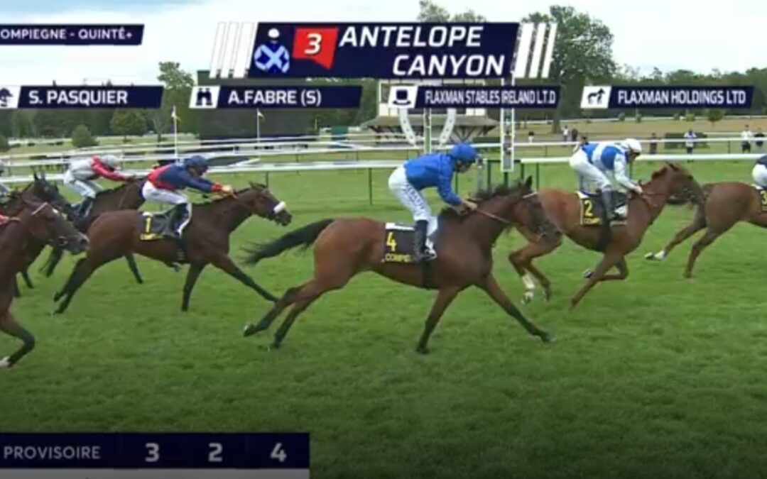 QUINTE VIERTER MIT HÖCHSTGEWICHT