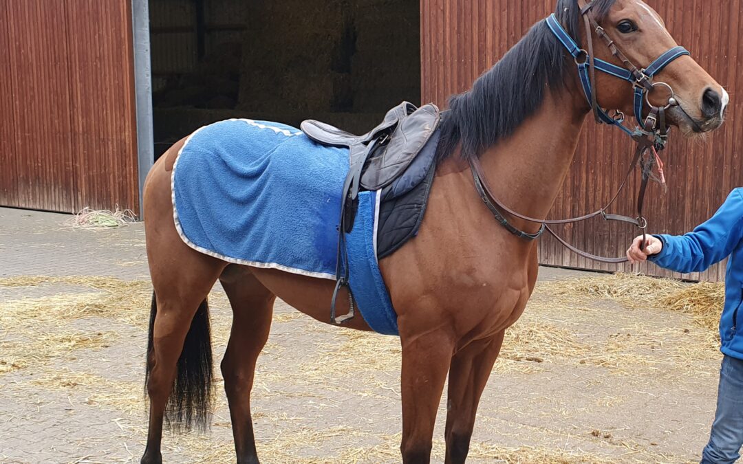 NACH PAUSE WIEDER AKTIV