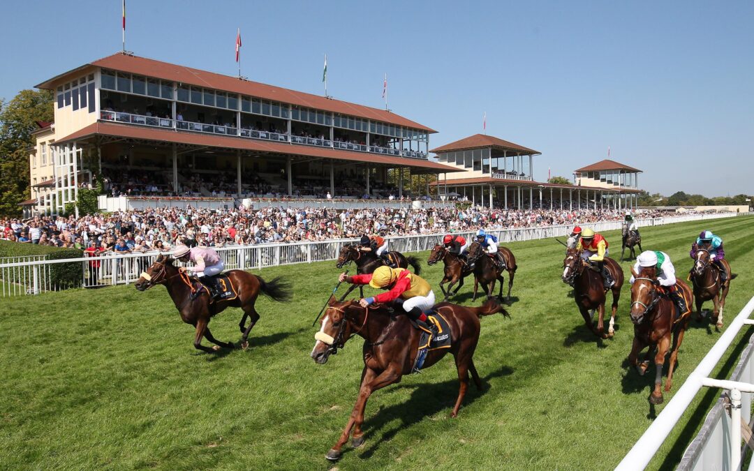 AUCH IM RAHMEN GUT GERÜSTET