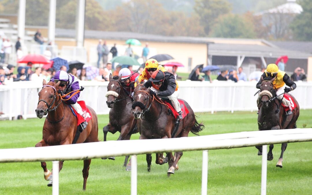 ZWEITER BEIM KARRIERESTART