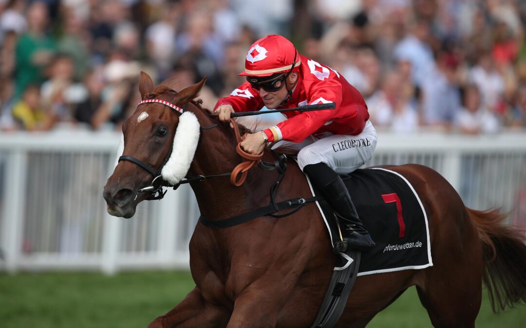 SKYLINE CITY START-ZIEL