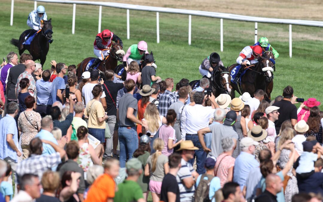 ZARIZA GUTE VIERTE IM BBAG