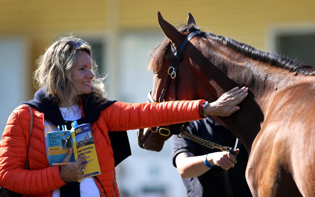 MIT CHANCEN UNTERWEGS