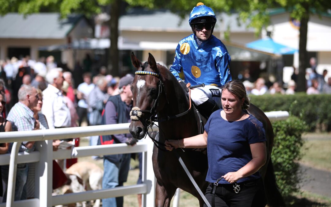 MEERGOTT NICHTSTARTER