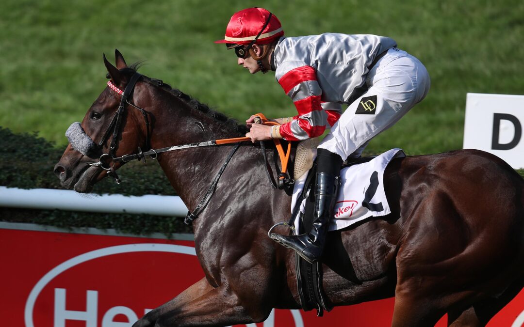 “MISTER” OHNE MÖGLICHKEITEN