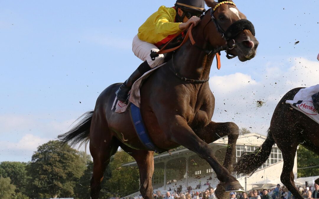 NACHNENNUNG FÜR D’DORF