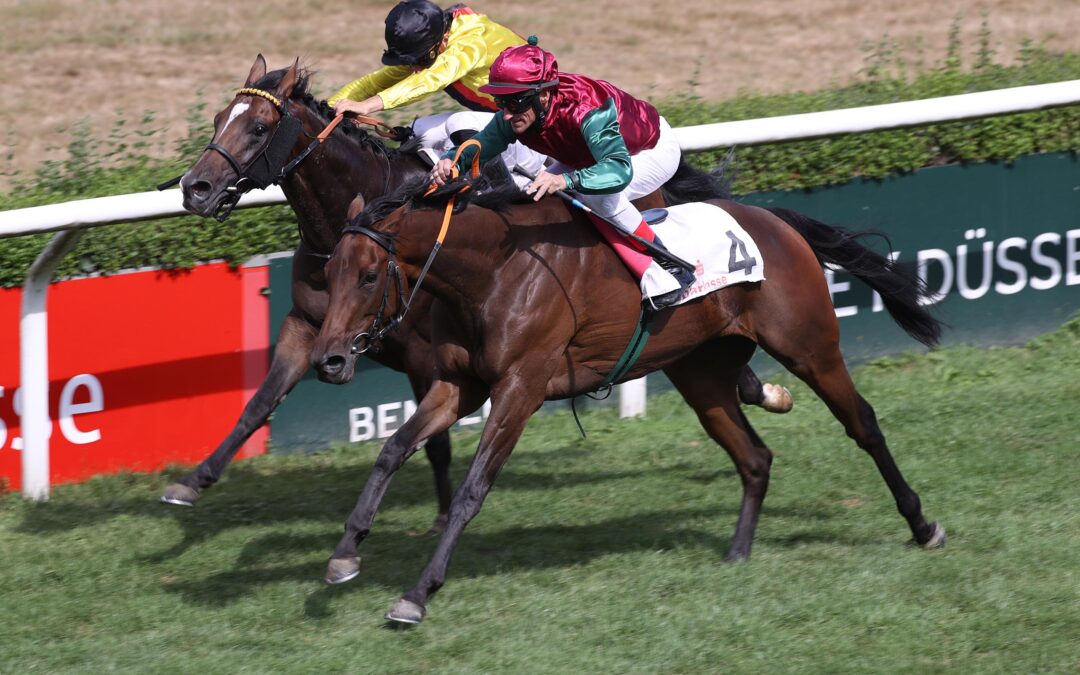 GANZ ZULETZT NOCH ABGEFANGEN