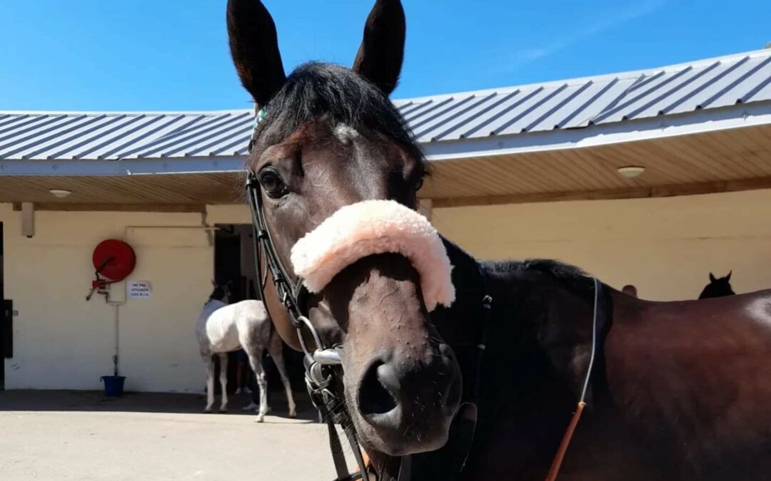 ZURÜCK AUF “GROSSE” BÜHNE