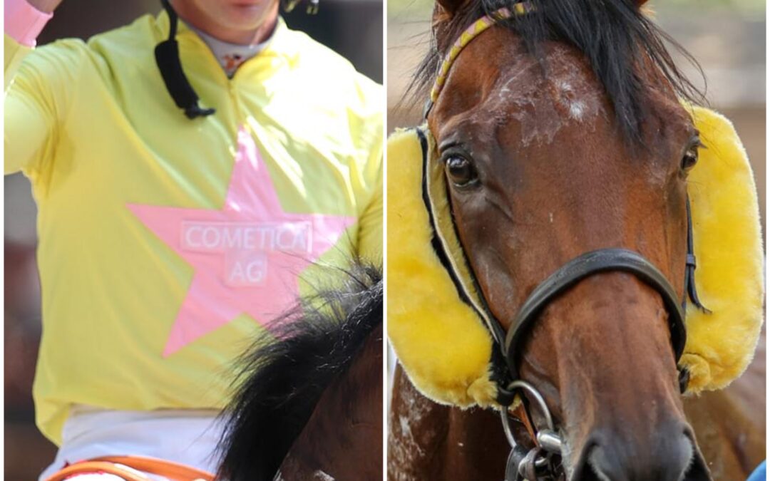 WENN ZUNGEN SPRECHEN