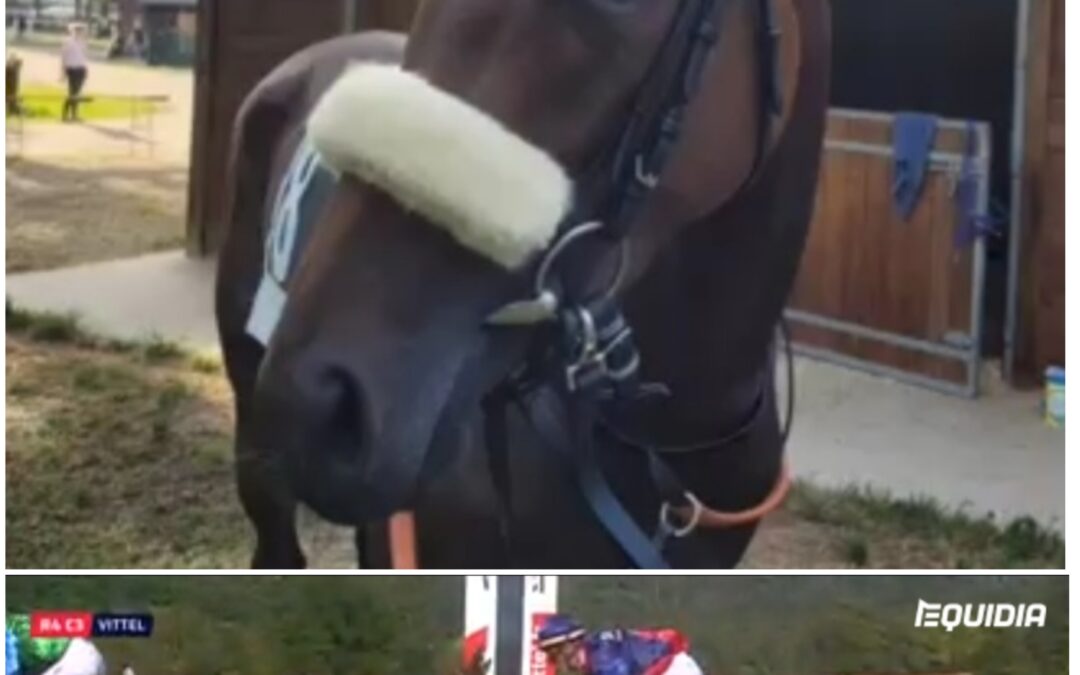 ZUM 4.MAL IN FOLGE ZWEITE