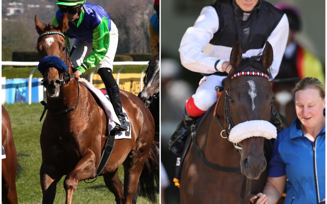 ZWEI NOCH SIEGLOSE STARTER