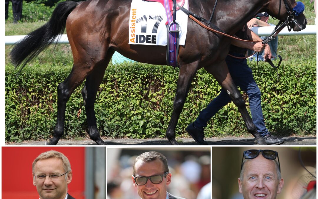 NEUER EIGNER-ALTER TRAINER