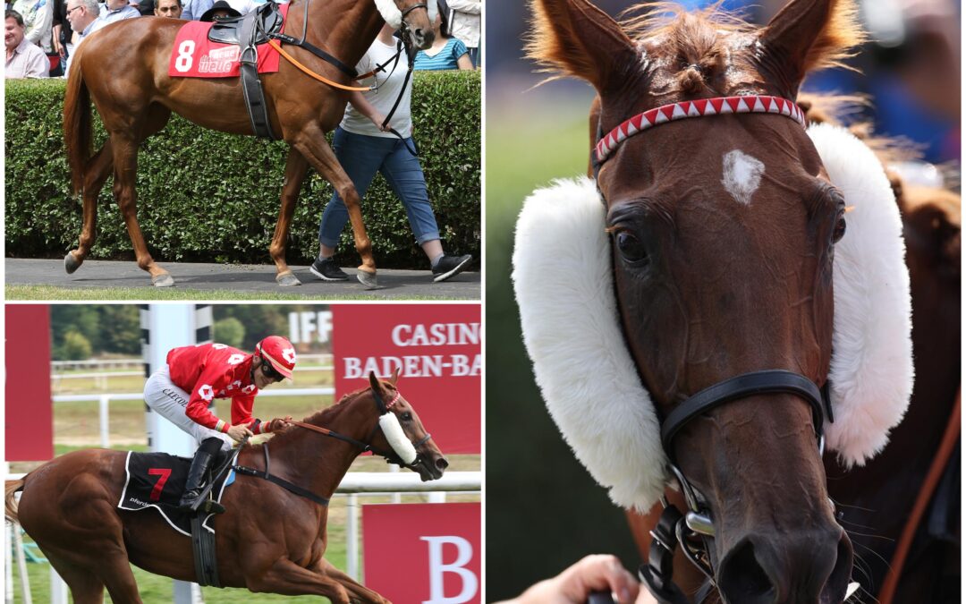 SCHÖN UND AUCH SCHNELL