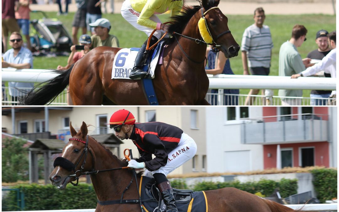 ZWEI “BLACKTYPE” CHANCEN