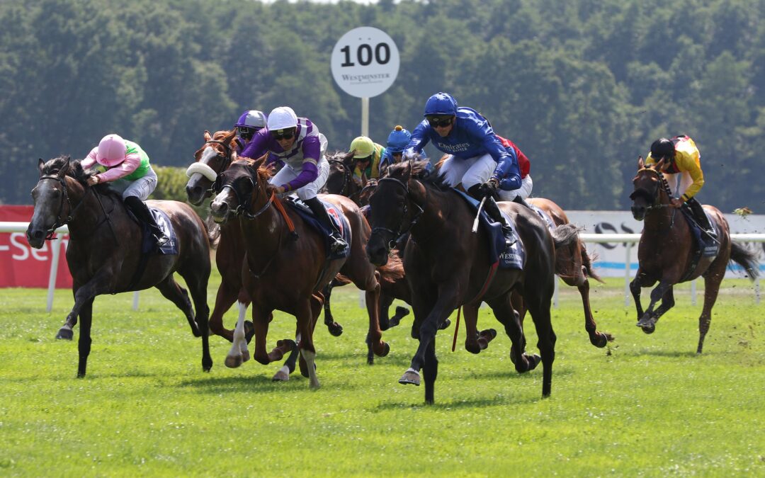 SECHSTER UND ACHTER IM GP