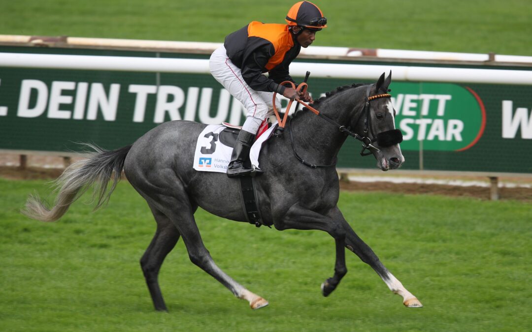 NIGHT OCEAN KÜNDIGT SICH AN