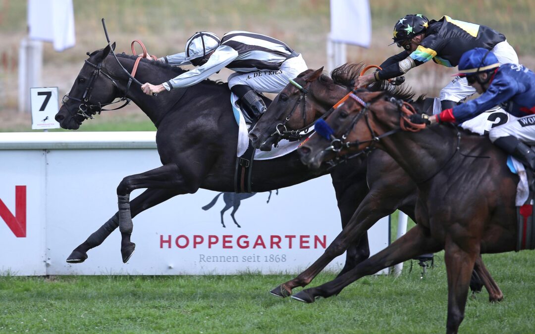 EINLAUF UNGLÜCKLICH VERPASST