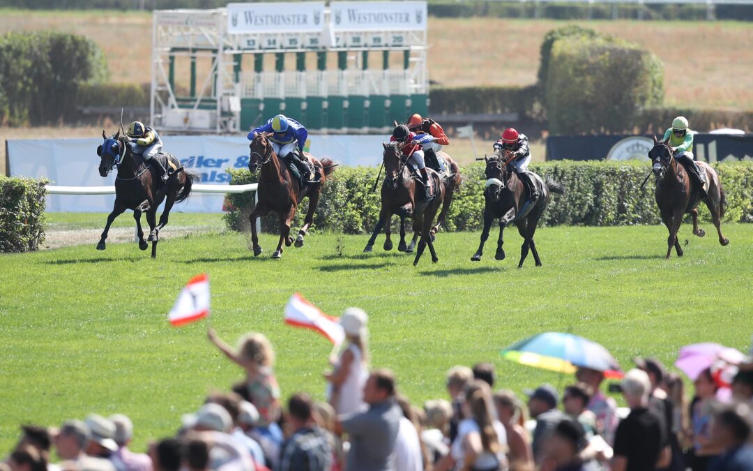 KEIN BODEN FÜR SIR POLSKI