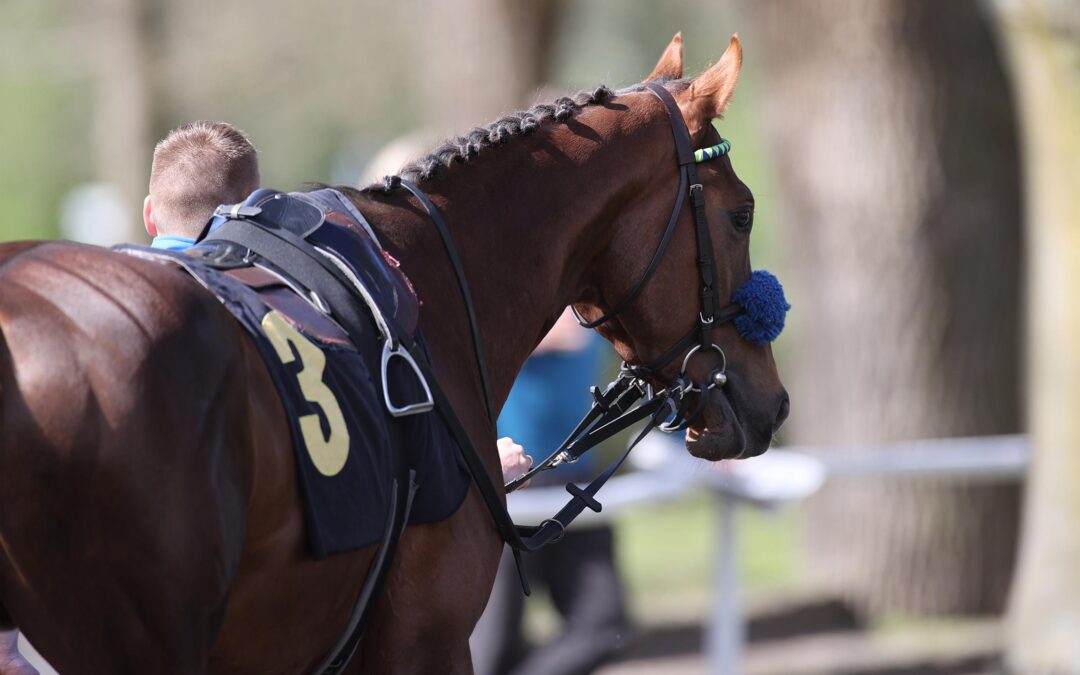 DRITTER PLATZ ZUM AUFTAKT