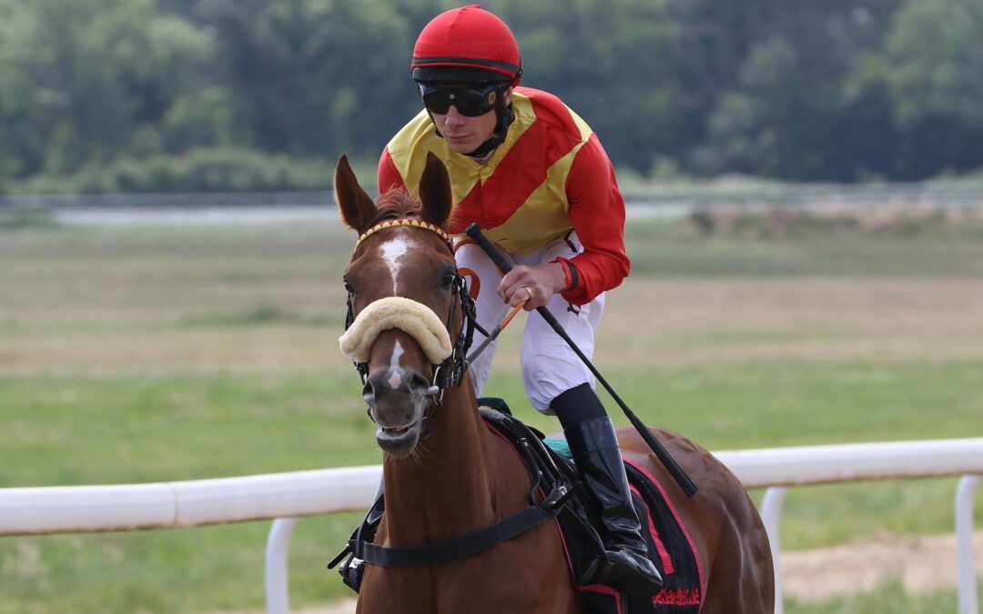 OLPHA SOLL ANSATZ BESTÄTIGEN