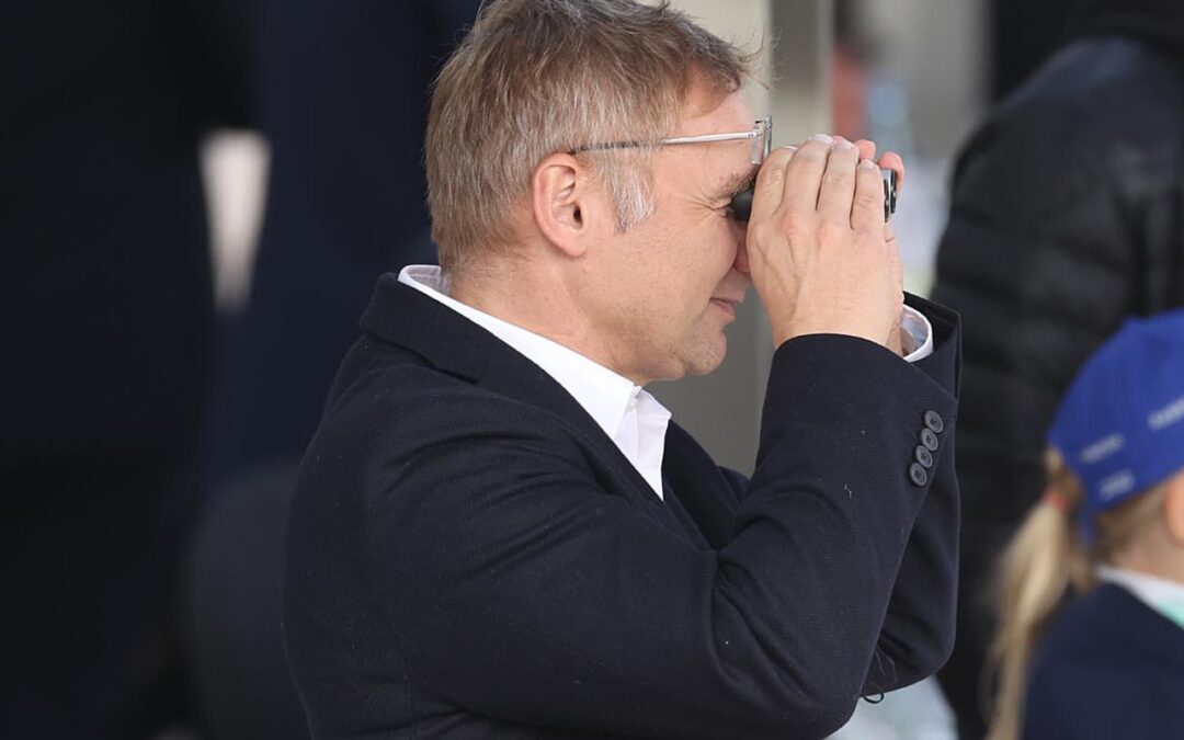 ZWEI HENGSTE FÜR GREWE