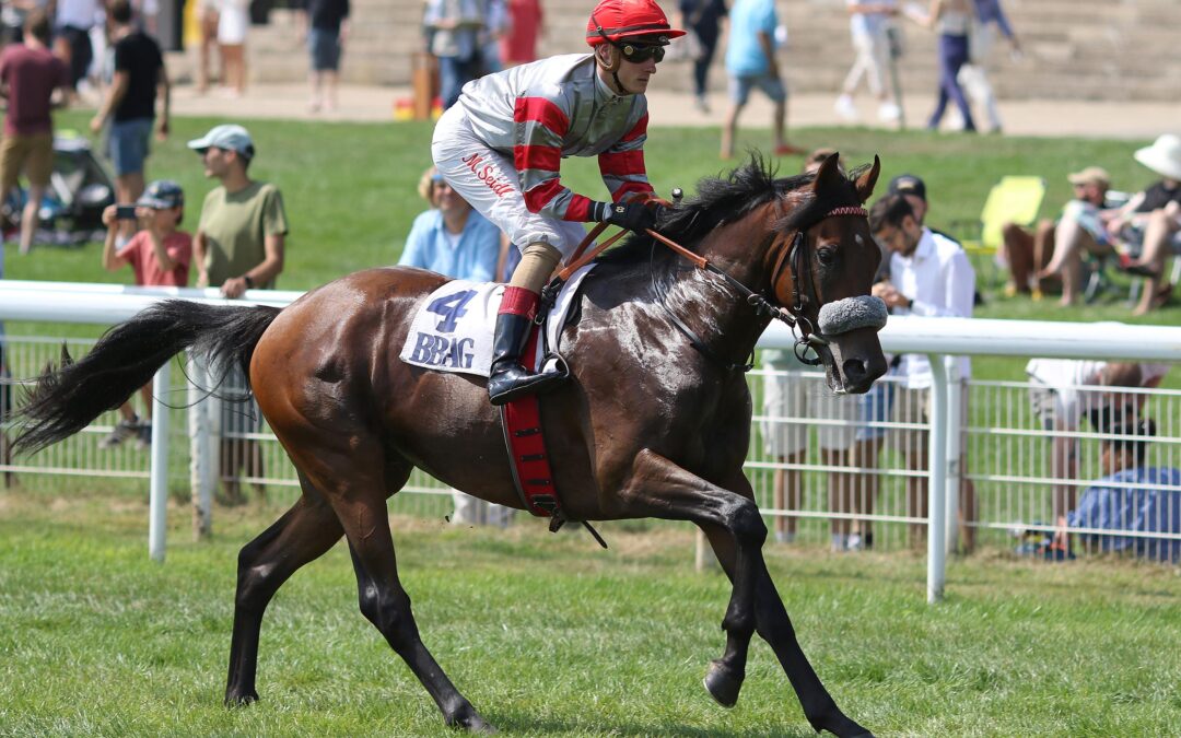 MR. GEGEN ACHT DEBUTANTEN