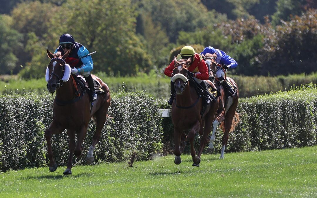 ANSATZ BESTÄTIGT-ERNEUT ZWEITE