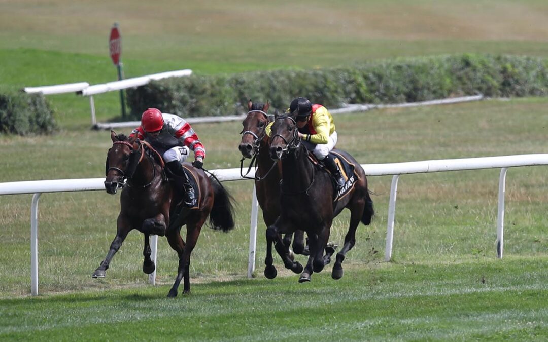 NUR EINER WAR STÄRKER