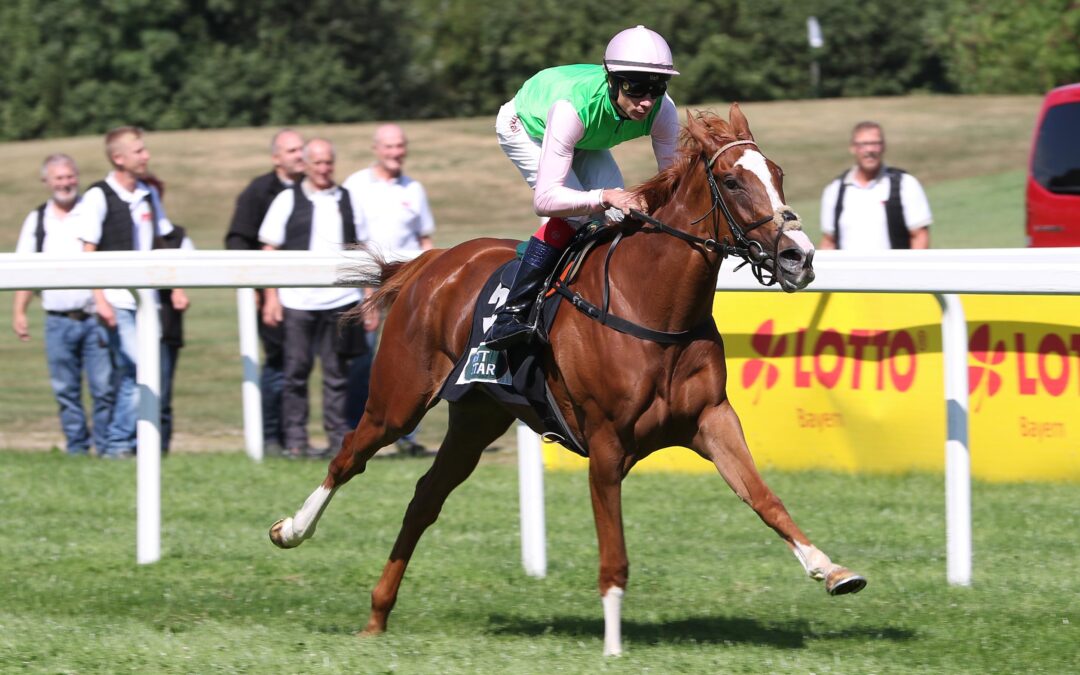 GLEICH KAVAR – UND WIE