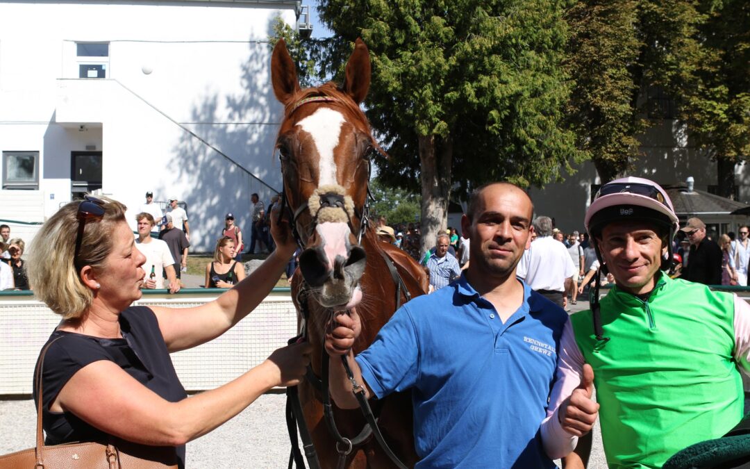 DAS SAGTEN DIE SIEGER