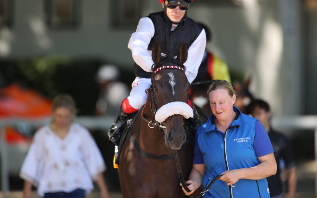 NACH STÖRUNG OHNE SCHWUNG
