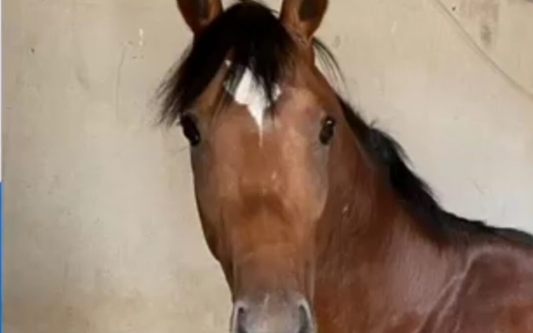 AUF DIE “ERFAHRUNG” BAUEN