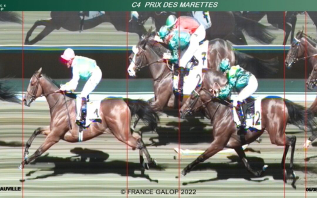 SEHR ANSPRECHEND DEBUTIERT