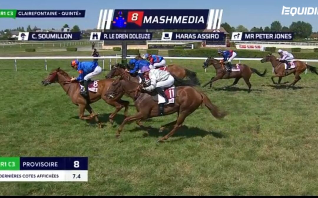 STARKER TIERCE FÜNFTER